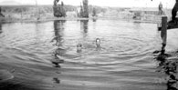 Swimming in Hot Springs, NM